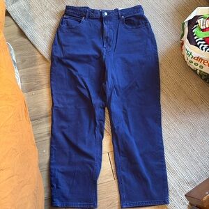 Everlane curvy way high jean 32 purple